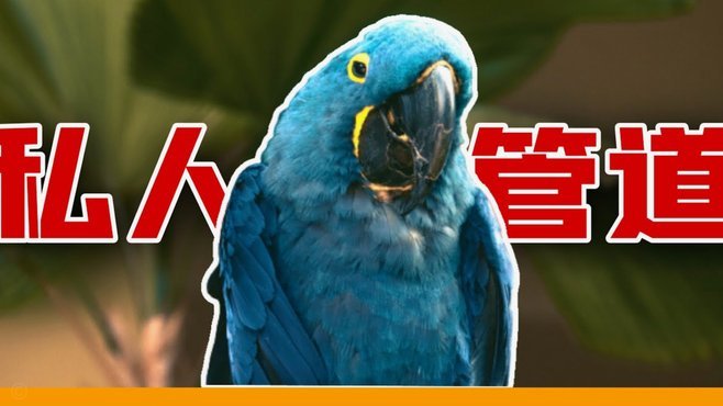 得物佳物分期入口在哪里