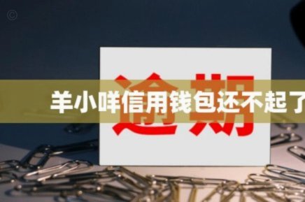 羊小咩钱包去哪儿了？