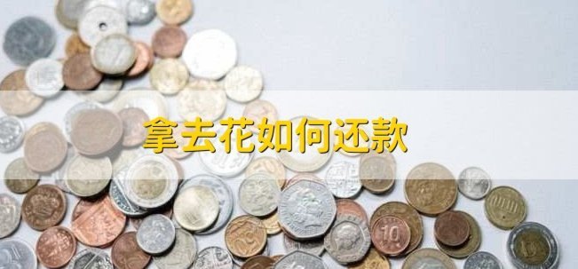 携程拿去花：哪些商家支持现金支付？