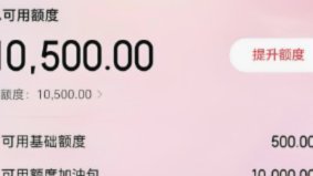京东白条捆绑销售策略解析