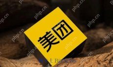 美团月付的信用安全与风险防控