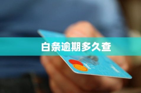 白条平台还款记录怎么查