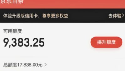 白条合理使用指南：避免负债风险