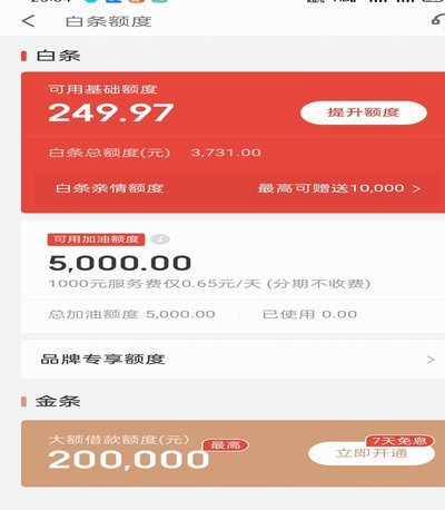 白条加油额度是什么意思