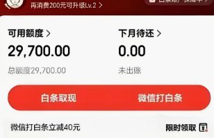 白条取现什么时候到账