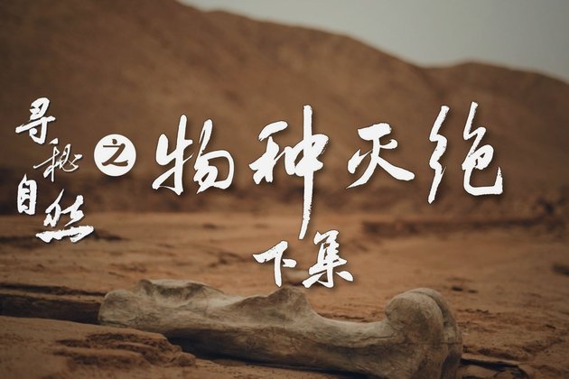 得物的佳物分期在哪里