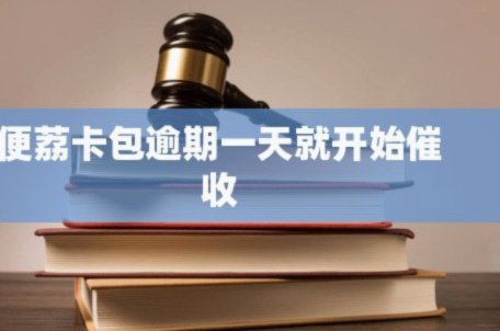 便荔卡包不让办停催怎么办