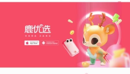 鹿优选借8000多久会到