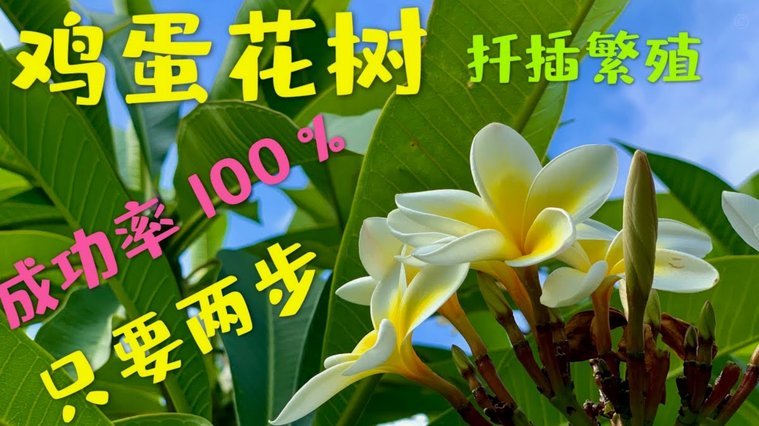 花呗如何提现？这里有答案