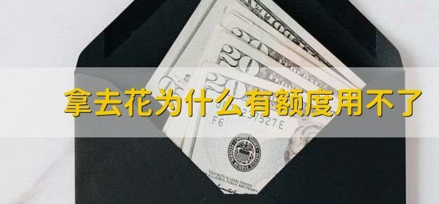 携程拿去花有额度怎么用