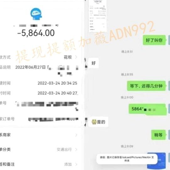 谁知道花呗怎么套出来?