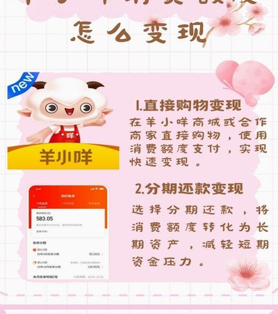 羊小咩退款难 订单账单仍留存