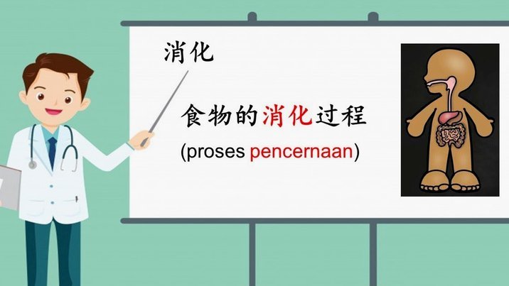 分期乐申请取消指南：流程、注意事项与实操步骤