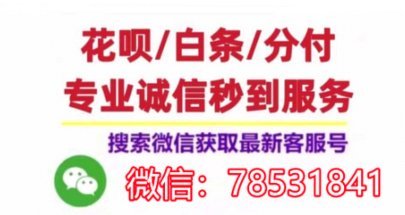 羊小咩消费额度如何变现