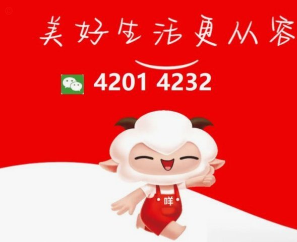 羊小咩怎么贷款的