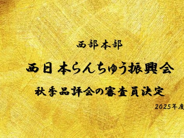 美团月付额度如何变现？