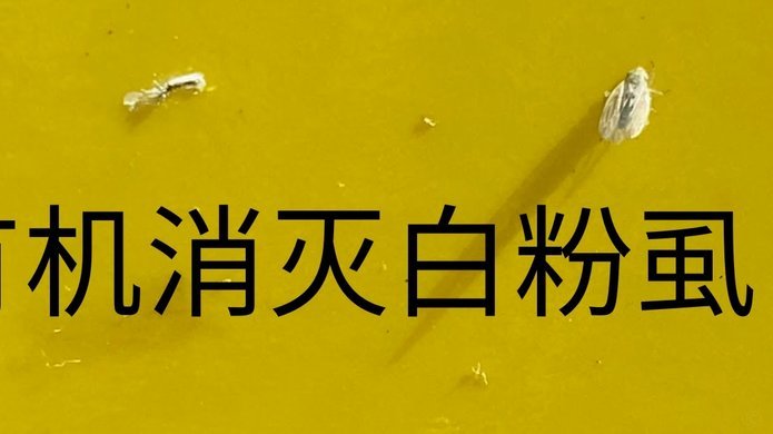 便荔卡套现三大路径解析