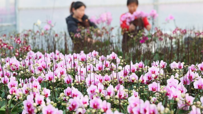 花呗商家收到的钱可以提现吗