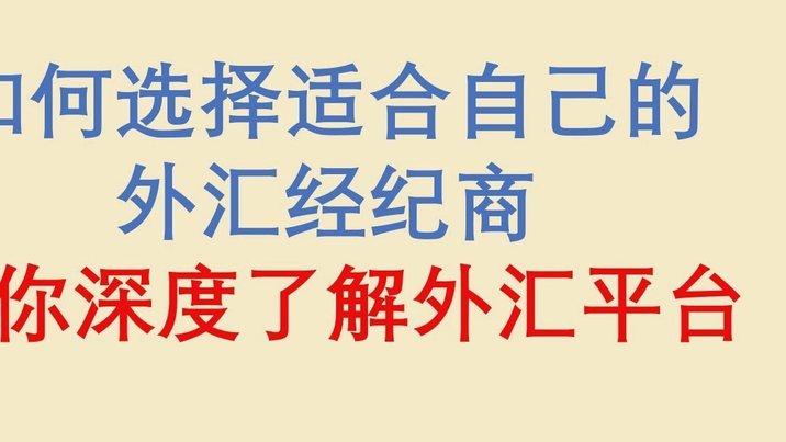 海鸥平台借款怎么处理