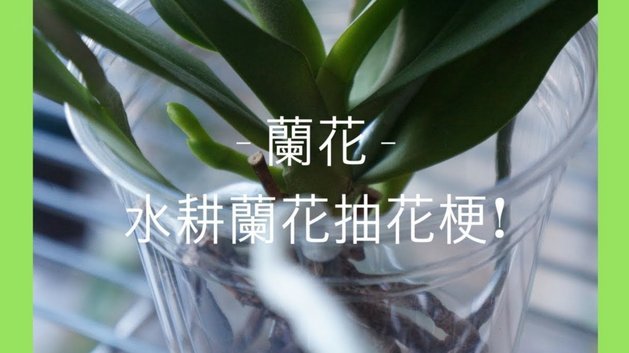 一次性还清“拿去花”？这样做更省钱