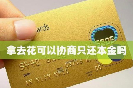 提前还款“拿去花”的妙招？