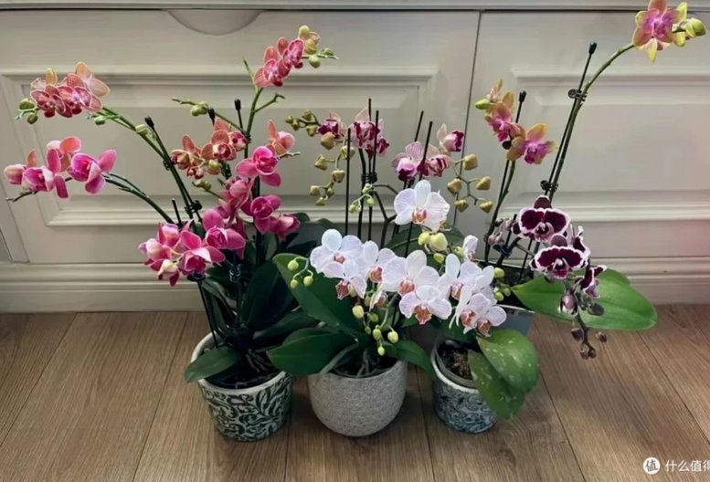 拿去花套出来真的有效吗？