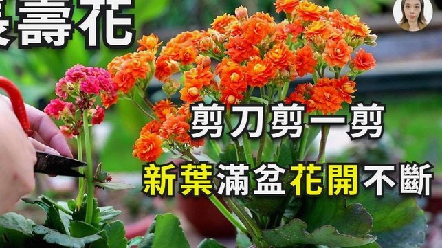 套现花呗平台怎么样 出额度的