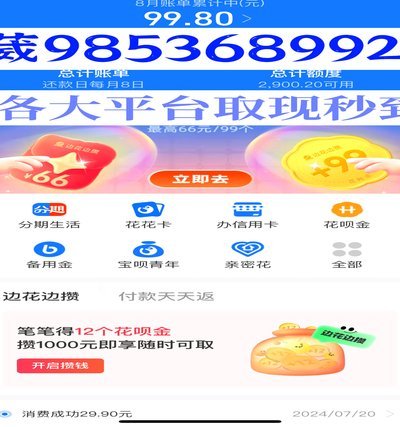 羊小咩的100块价值密码