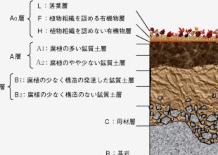 微信分付取现商家，平台如何监控