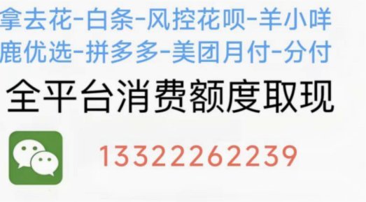 携程拿去花怎么支付