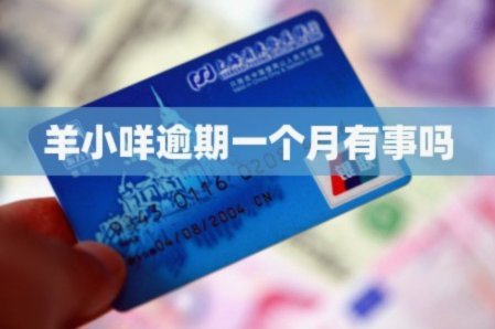 羊小咩逾期一周会有影响吗？