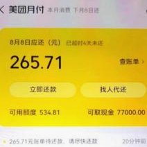 美团月付滥用现象引热议