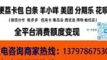 白条提额技巧揭秘