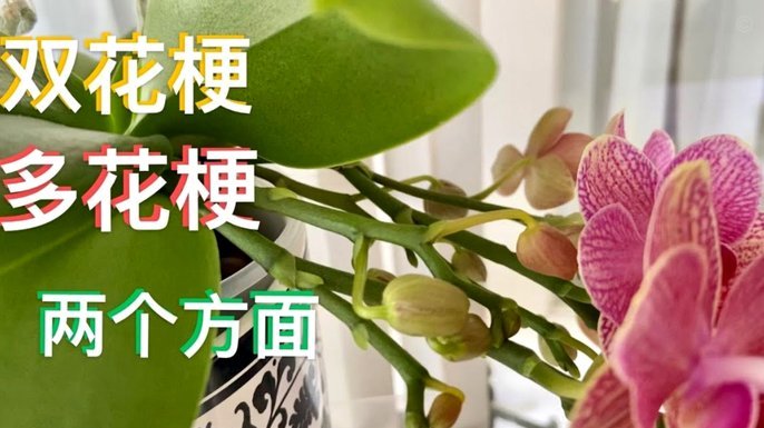 拿去花套现多少个点