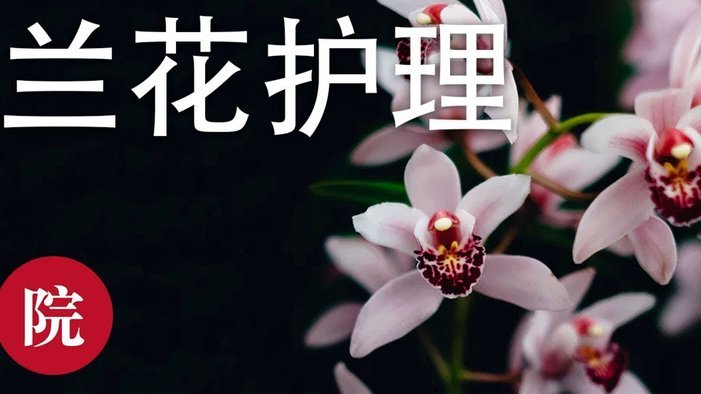 花呗是否正规可靠值得信赖