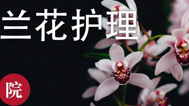 花呗秒套平台 取消了吗现在