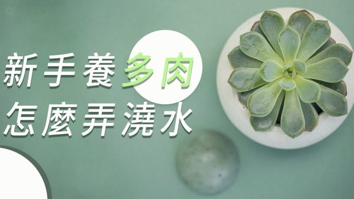 套现花呗怎么弄