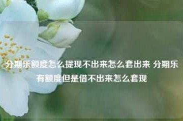 分期乐额度借不出钱怎么办